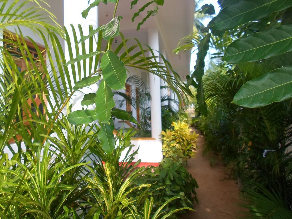 Surf & Sand Hotel Arugambay Arugam Bay Exteriér fotografie